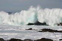 1000016132
