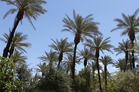 IMG_4228