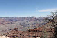 IMG_4274