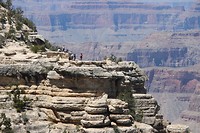 IMG_4299