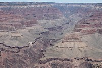 IMG_4302