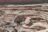 IMG_4420