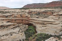 IMG_4424