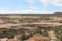 IMG_4436