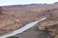 IMG_4449