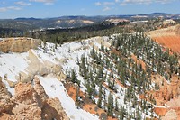 IMG_4477