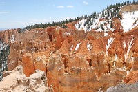 IMG_4487