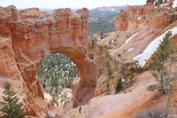 IMG_4495