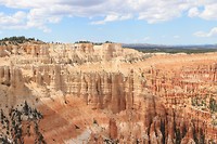 IMG_4501