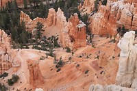 IMG_4506
