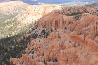 IMG_4507