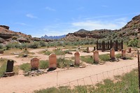 IMG_4529