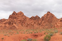 IMG_4549