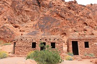 IMG_4550