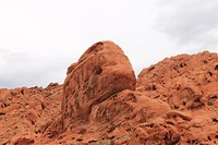 IMG_4554