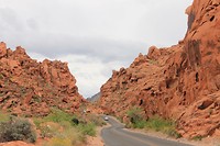 IMG_4560