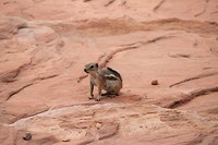 IMG_4574