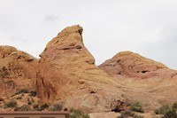 IMG_4577