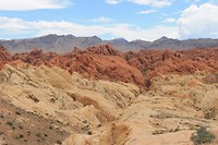 IMG_4578