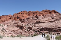 IMG_4628