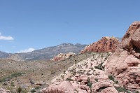 IMG_4634