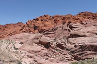 IMG_4636
