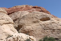 IMG_4640