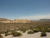P1020237