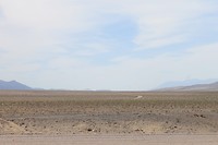 IMG_4665
