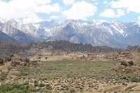 IMG_4763