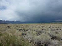 P1020355