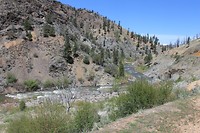 IMG_4816
