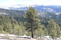 IMG_4819