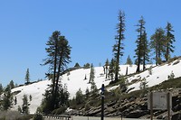 IMG_4822
