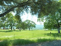 P1020378