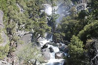 IMG_4838