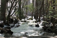 IMG_4847
