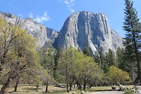 IMG_4859