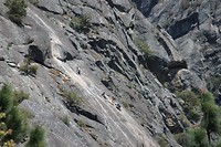 IMG_4871