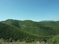 P1020382