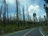 P1020407