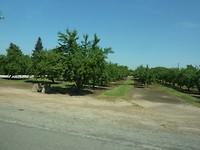 P1020415