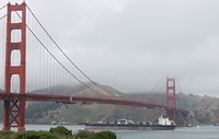 IMG_4907 (2)