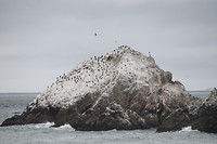 IMG_4916