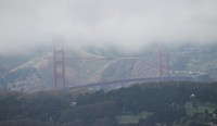 IMG_4925 (2)