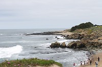 IMG_4931