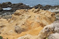 IMG_4933