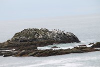 IMG_4934