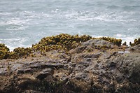 IMG_4935
