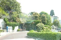 P1020477 (2)